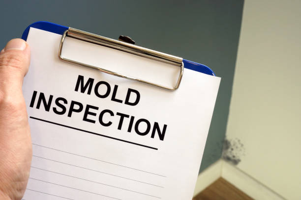 Best Airborne Mold Testing  in Streator, IL